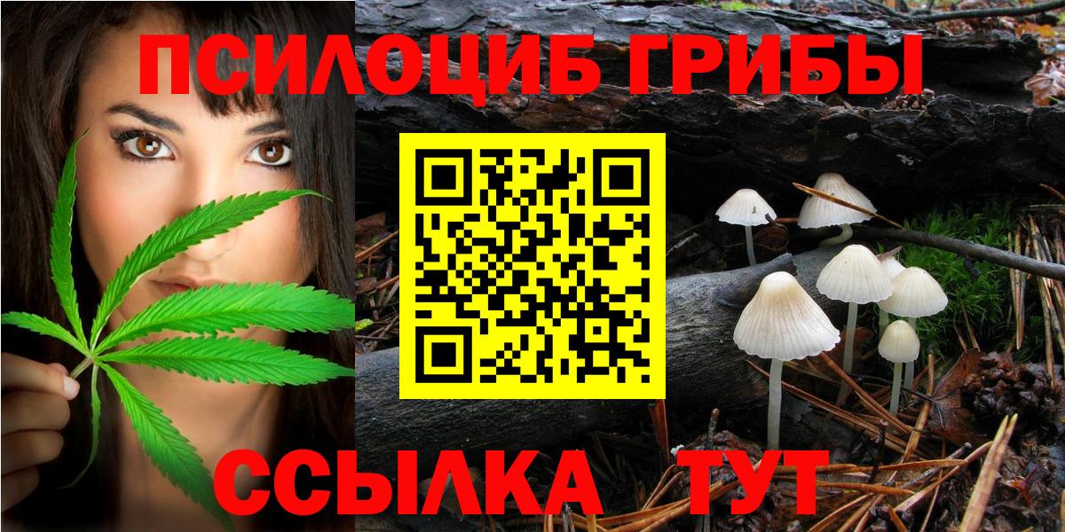 Псилоцибиновые грибы Magic Shrooms  Вход с VPN  наркотики  Находка  Псилоцибиновые грибы Magic Shrooms 